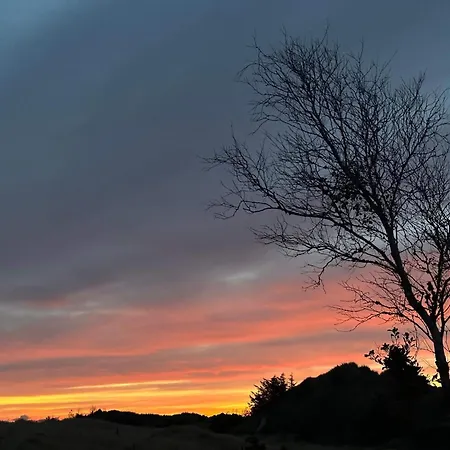 Luxury Retreat With Pool - By Traum * Blåvand